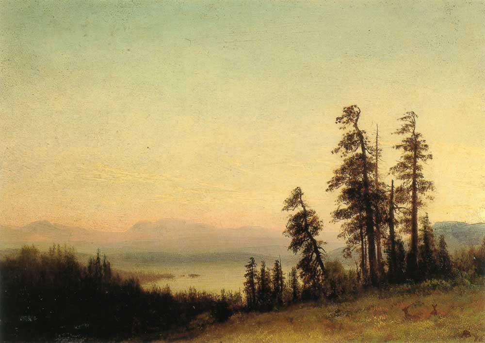 Landscape with Deer